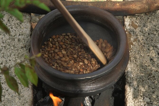 Private Meru Coffee Tour in Nkoaranga - Who will get the most from this coffee tour