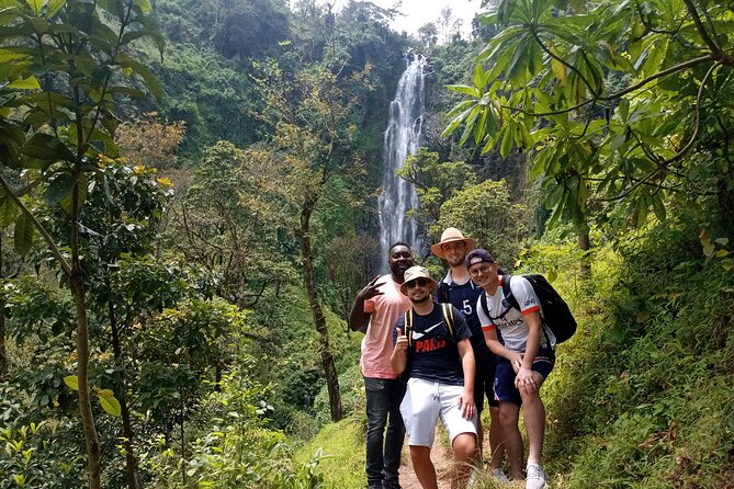 Private Tour to Materuni waterfalls, coffee tour & Kikuletwa hot- springs - One day, three very different experiences near Moshi
