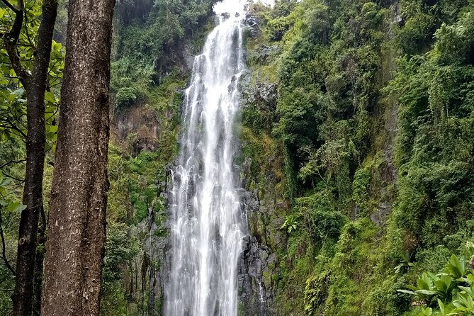 Private Tour to Materuni waterfalls, coffee tour & Kikuletwa hot- springs - Simple packing advice for the day