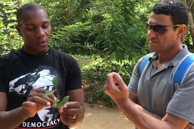 Private Tour Zanzibar Unique Stone Town with spice Farm Plantations - The slave market, fortress, and House of Wonder