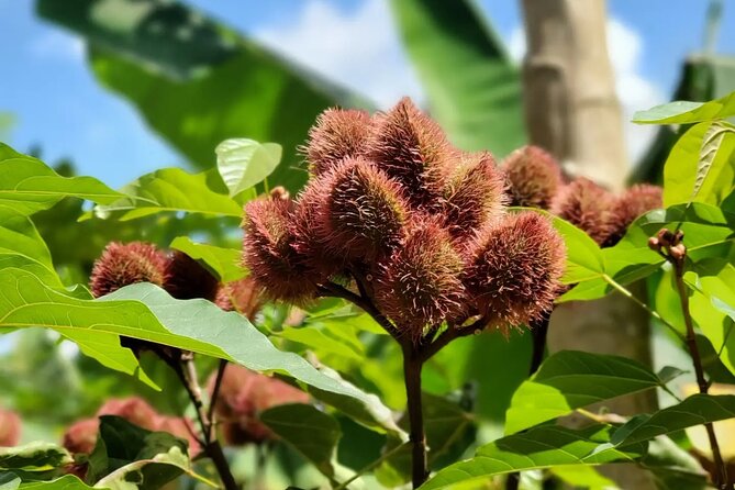 Private Tour Zanzibar Unique Stone Town with spice Farm Plantations - Is $61 good value?
