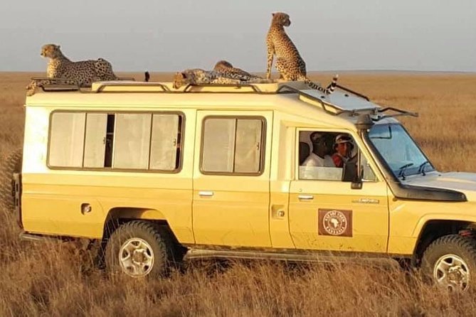 Safari in Tanzania 5 days: Manyara, Ngorongoro, Serengeti - Serengeti, two days on the open plains