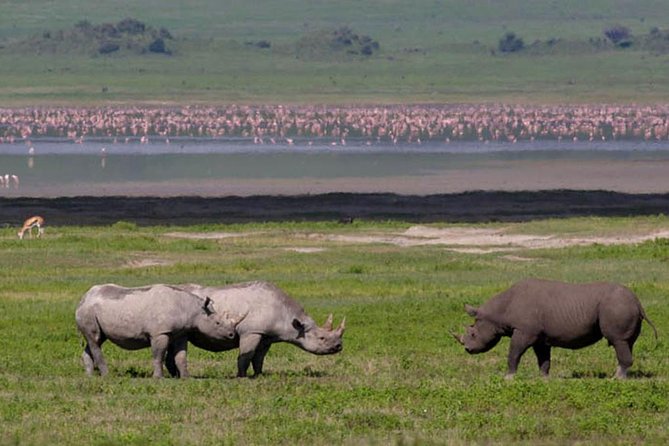 Safari in Tanzania 5 days: Manyara, Ngorongoro, Serengeti - What the $3,050 price covers