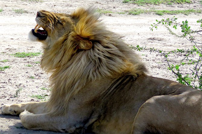 Safari in Tanzania 5 days: Manyara, Ngorongoro, Serengeti - Lake Manyara, forest, lake, and Rift Valley views