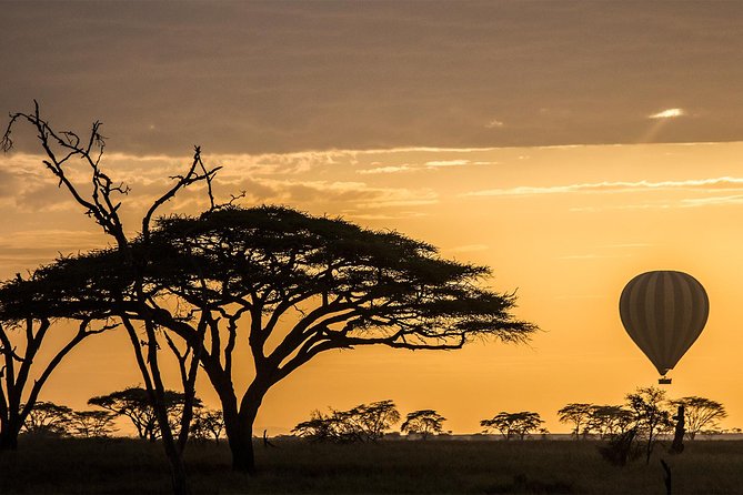 Serengeti Balloon Safari and authentic bush breakfast - Seronera: the year-round choice