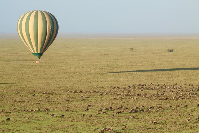 Serengeti Balloon Safari and authentic bush breakfast - Kiwarira and the western Serengeti