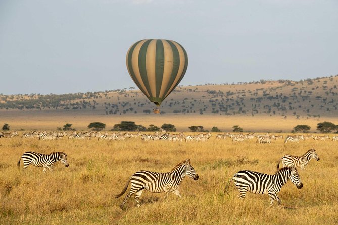 Serengeti Balloon Safari and authentic bush breakfast - A full hour in the basket, then a proper breakfast