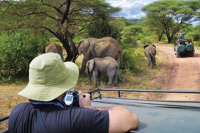 Serengeti & Ngorongoro fly in safari - Flying into the Serengeti instead of losing a day on the road