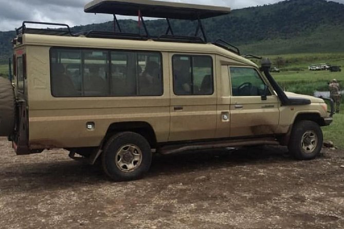 serengeti, ngorongoro & tarangire 5days private tour - Who should book this safari
