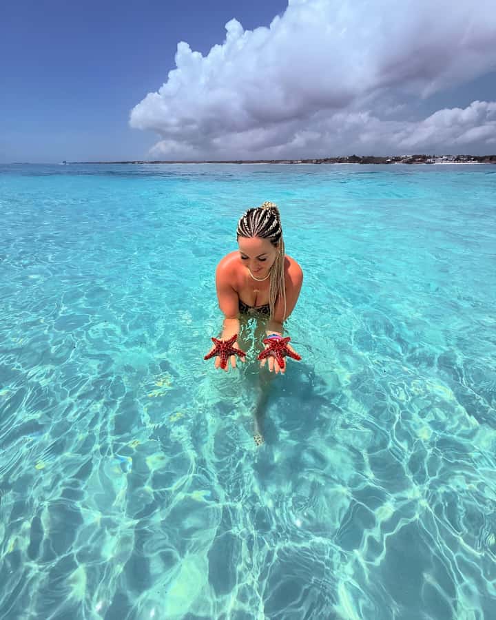 Snorkel Mnemba’s Reefs & Swim with Dolphins Adventure - The dolphin question, with realistic expectations