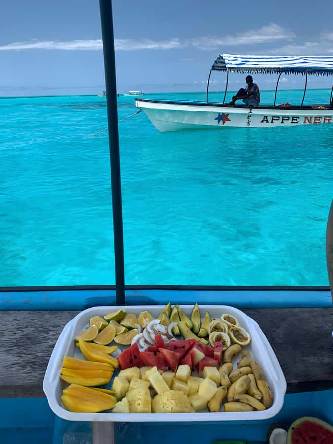 Snorkeling and swimming with dolphins in mnemba island - Returning by boat and road