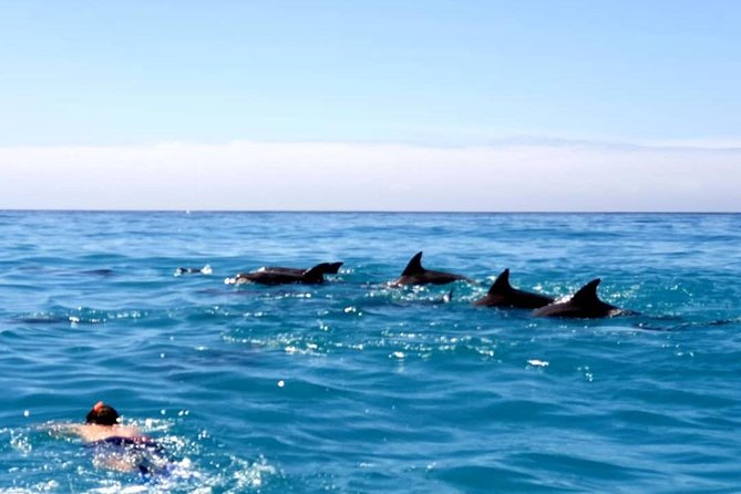 Snorkeling at Mnemba Atoll - Why Mnemba Atoll is Zanzibar’s big snorkeling draw