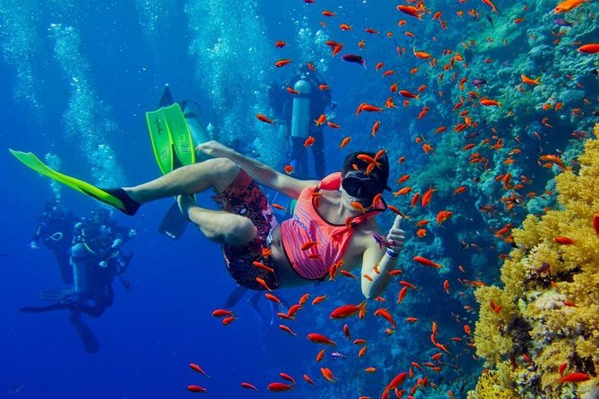 Snorkeling at Mnemba Atoll - Practical preparation for the five-hour outing