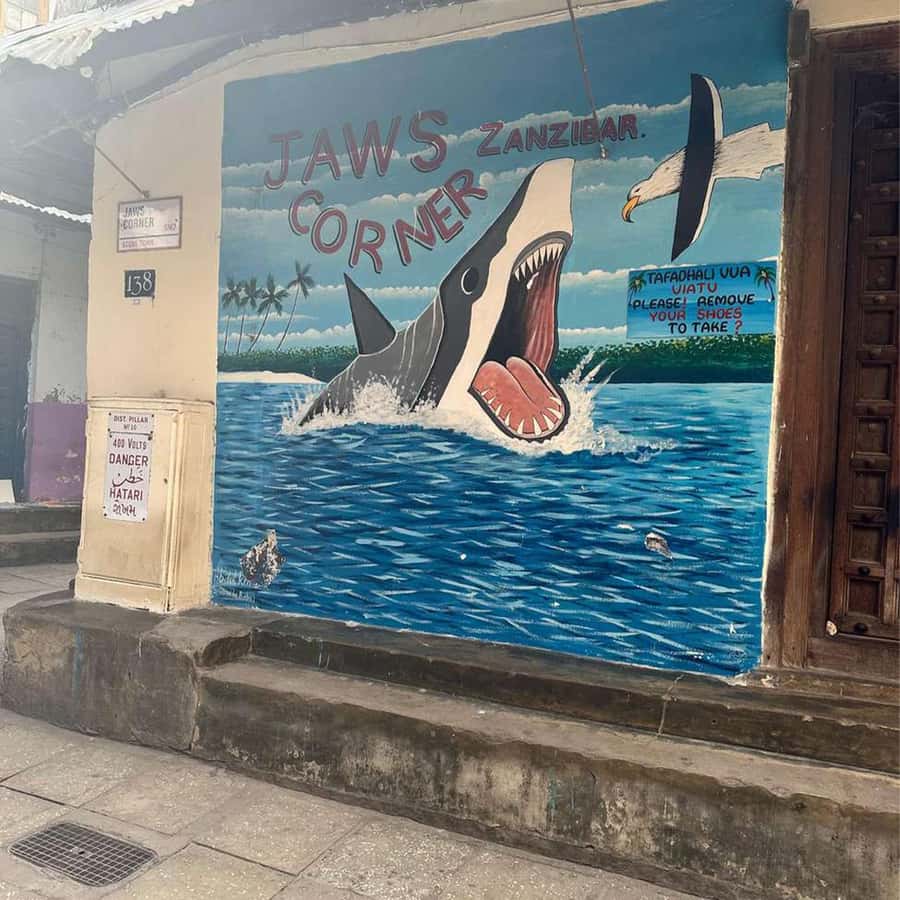 Stone Town Guided Tour: Culture, Slave Market & Spice Market - Why Stone Town is best understood on foot