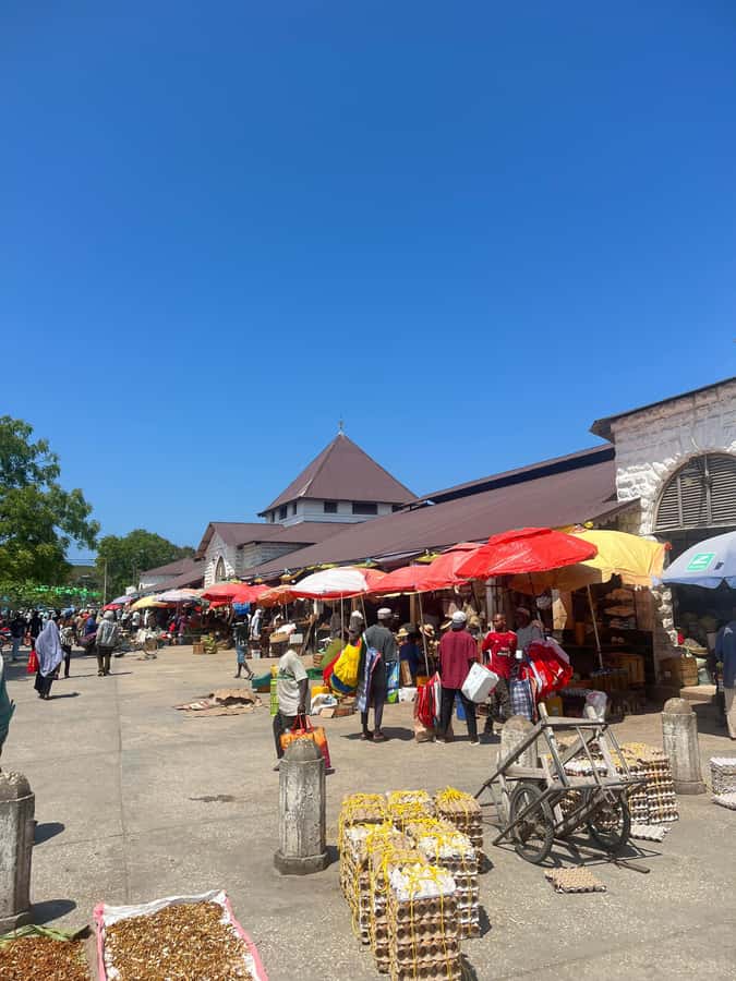 Stone Town's Hidden History: Private Guided Walking Tour - Catholic Cathedral, Freddie Mercury, and Secret Garden