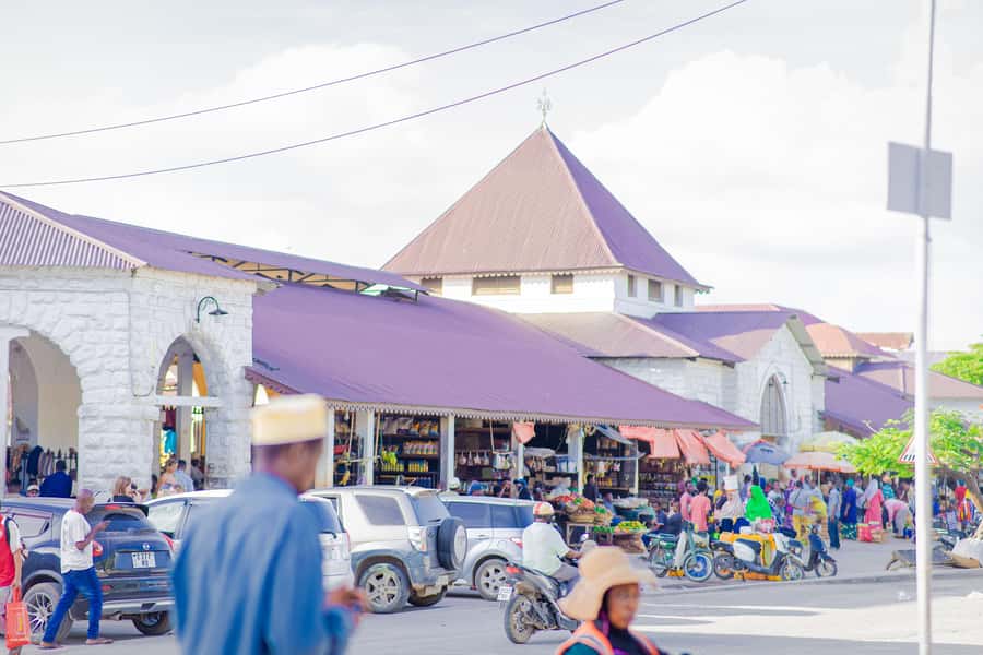 Stone Town's Hidden History: Private Guided Walking Tour - Choosing between morning and sunset