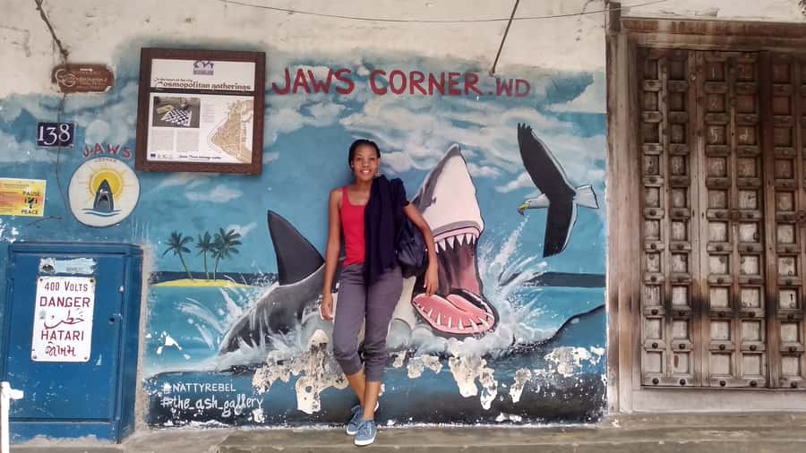 Stonetown Historical Walking Tour & Traditional Lunch - Is $60 a fair price?