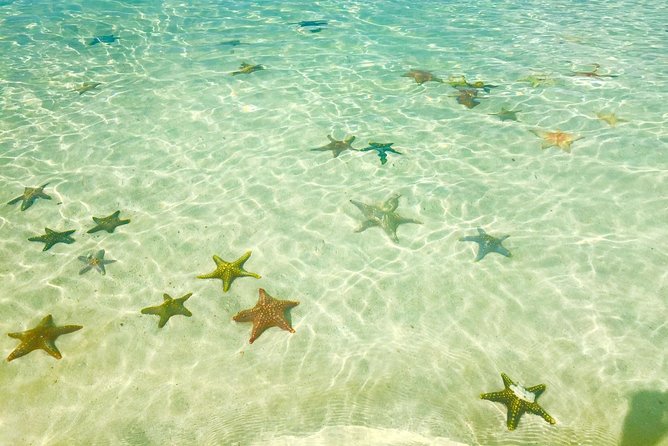 Super Zanzi, Nakupenda, Prison Island & Stone Town - Zanzibar - Guides can make or break the day