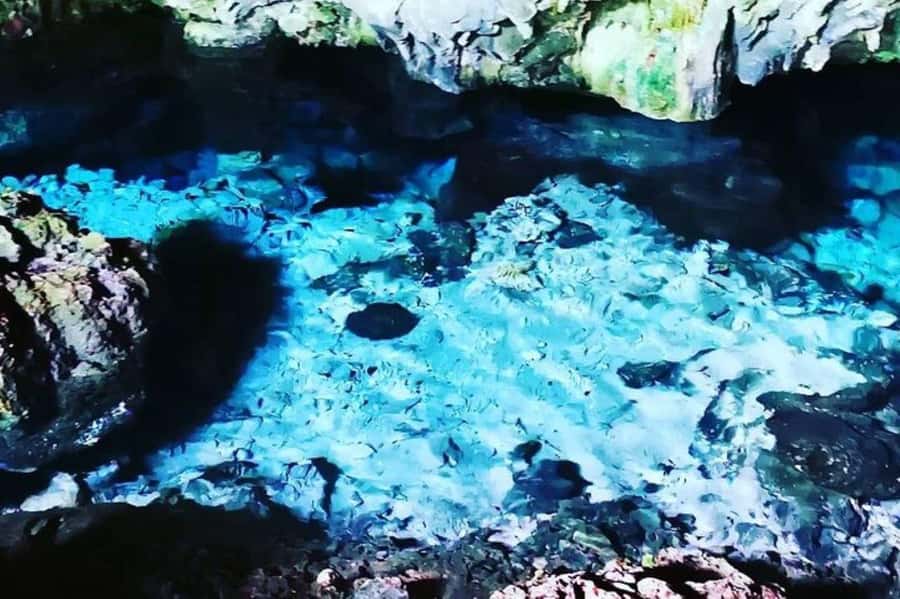 Swim with Sea Turtles, Kuza Cave, Paje Beach, The Rock Lunch - Kuza Cave gives the day a quieter middle