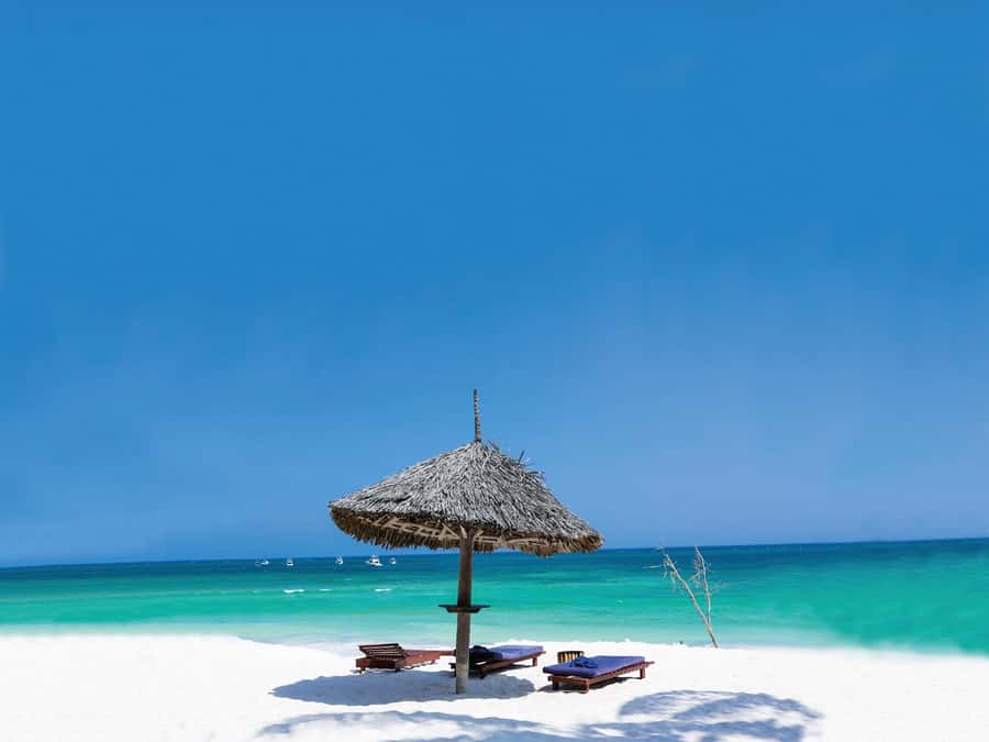Swim with Sea Turtles, Kuza Cave, Paje Beach, The Rock Lunch - Paje Beach and Zanzibar’s wide-open coast