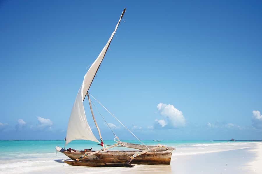 Swim with Sea Turtles, Kuza Cave, Paje Beach, The Rock Lunch - Guides, drivers, and the benefit of going private