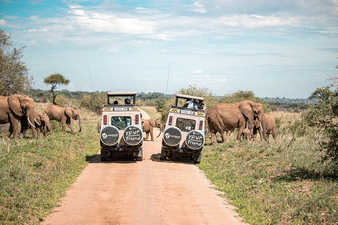 Tanzania Classic - 7 Days - Day 6: down into Ngorongoro Crater