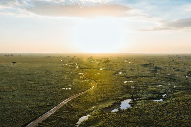 Tanzania Enticing Explorations - 6 Days - Day 6: Tarangire’s elephants, plains, and final drive