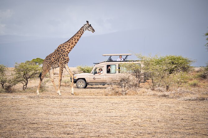 Tanzania Enticing Explorations - 6 Days - What the $3,341.18 price really covers