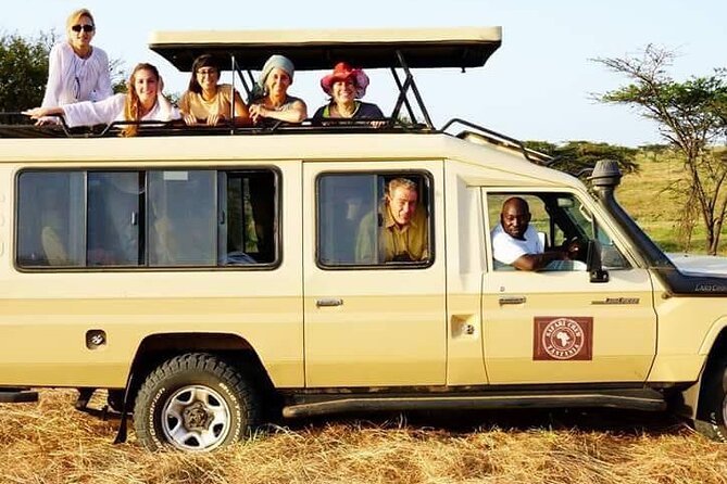 Tanzania Safari - The Great Migration in the North of the Serengeti and Lake Natron - Day 6: Flamingos, volcanic country, and Tarangire
