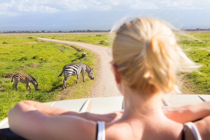 Tanzania Simba Safari - 5 Days - Day 4: One last Serengeti drive, then Ngorongoro