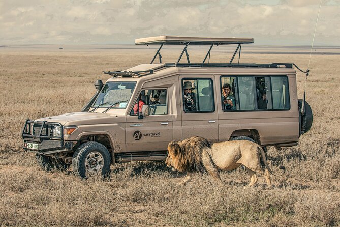 Tanzania Simba Safari - 5 Days - Meals, lodging, and what you still pay for