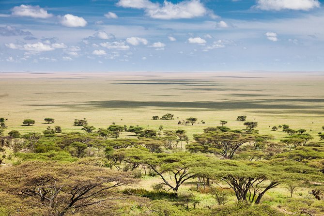 Tanzania Through The Rift Valley - 5 Days - Day 2: Lake Manyara’s changing scenery