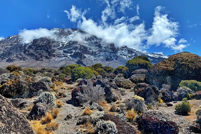 The 6 Days Kilimanjaro Climbing Tour via Machame Route in 2025/26 - Day one: Machame Gate to Machame Camp
