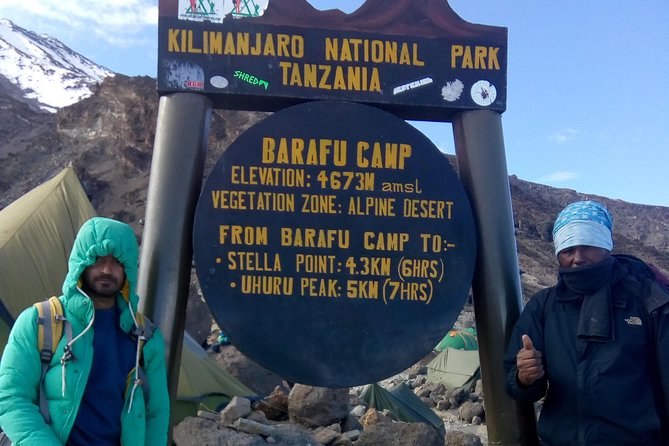 The Best of Machame Route in 6 Days: Your World's Summit Guide - Day 2: Shira Camp and the change to moorland