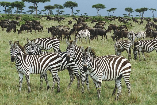 The best Selous 1 day safari from Zanzibar - The bush lunch at 1:30 p.m.