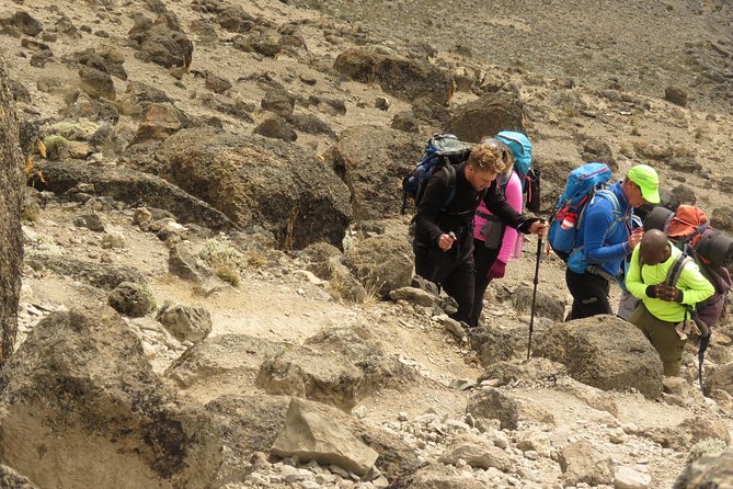 The Best & Unique Kilimanjaro Hiking tour 7 days Machame route - Day 5: Karanga Camp to Barafu Camp