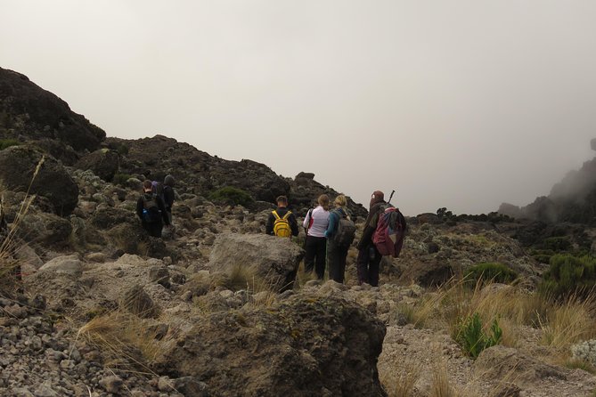 The Best & Unique Kilimanjaro Hiking tour 7 days Machame route - Day 6: Barafu to Uhuru Peak and down to Mweka