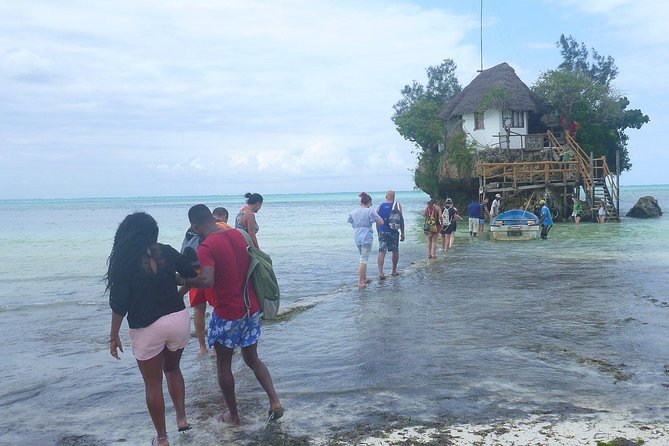 The Rock Restaurant & Blue Lagoon Half Day Tour in Zanzibar - Michamvi Kae and the sea stars