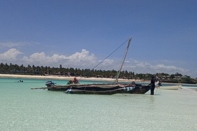The Rock Restaurant & Blue Lagoon Half Day Tour in Zanzibar - Who will enjoy this outing