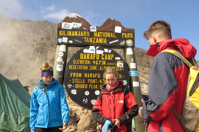 The Ultimate 8-day Lemosho route Climbing Kilimanjaro - Day 3: Shira Camp 1 to Shira Camp 2
