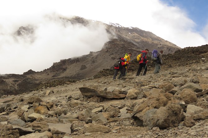 The Ultimate 8-day Lemosho route Climbing Kilimanjaro - Day 7: Uhuru Point and the descent to Mweka