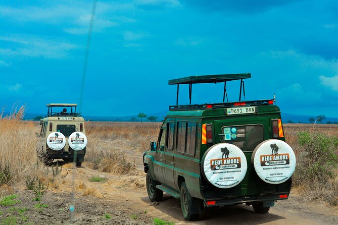 Top Best 5 Days Tanzania Luxury Safari to Serengeti - Day 1: Tarangire’s elephants and baobab trees