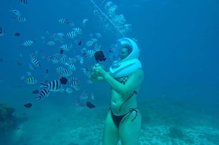Underwater Walking Experience in Zanzibar,No Swimming Needed - Why the Guides Matter So Much