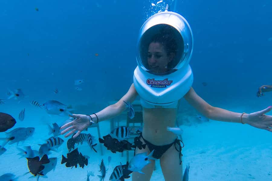 Underwater Walking Experience in Zanzibar,No Swimming Needed - Is $60 Good Value?