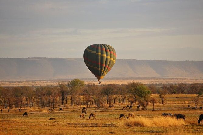 Unforgettable Tanzania Safari And Zanzibar Beach - Day 2: Tarangire, elephants and baobabs