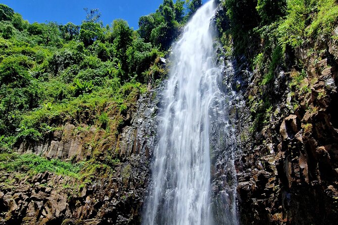 Waterfall, coffee tour & hot springs - lunch and drinks included - Cooling off at Kikuletwa Hot Springs