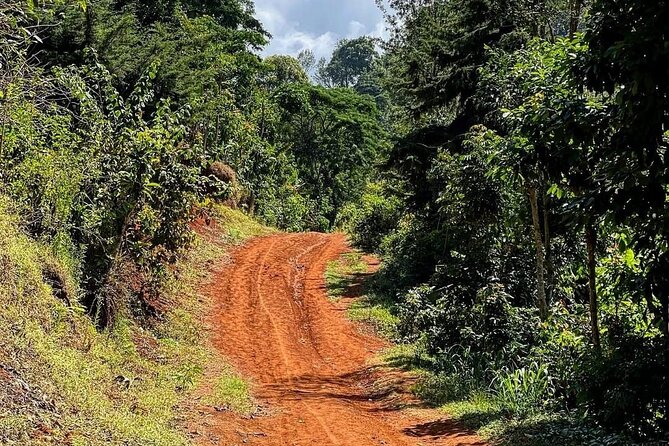 Waterfall, coffee tour & hot springs - lunch and drinks included - How the guide shapes the day