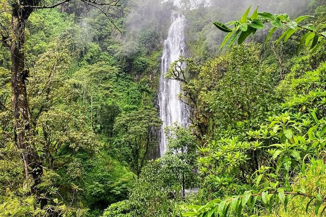Waterfall, coffee tour & hot springs - lunch and drinks included - Is $99 good value?