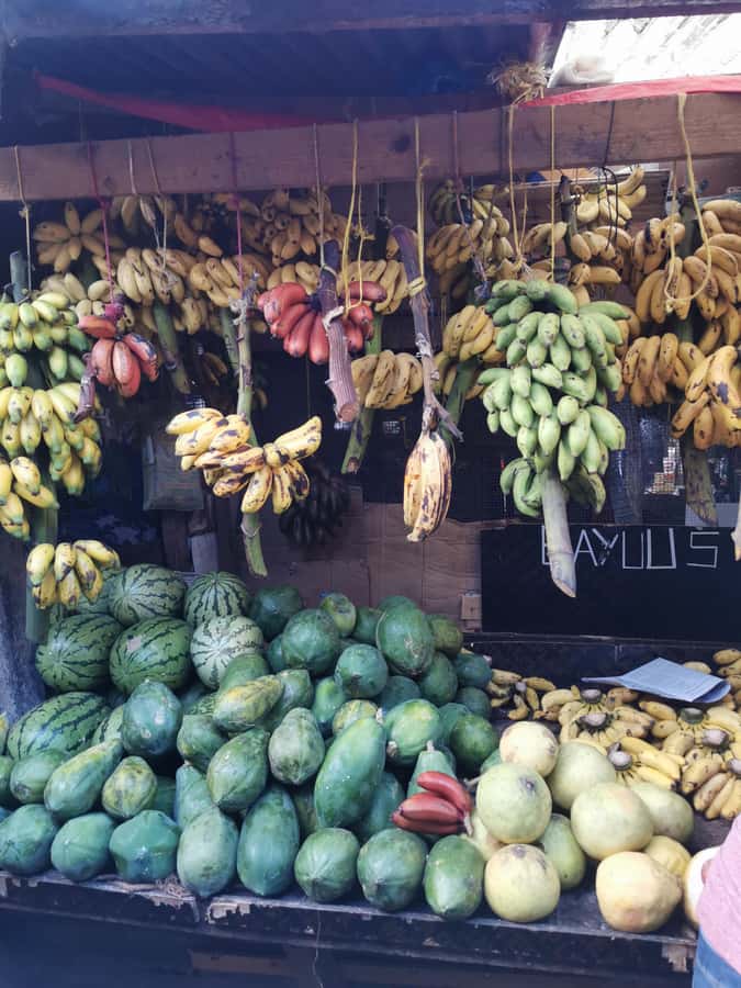 Zanzibar: 3 Hours Private Stone Town walking Tour with Guide - Starting in Stone Town and finding your bearings