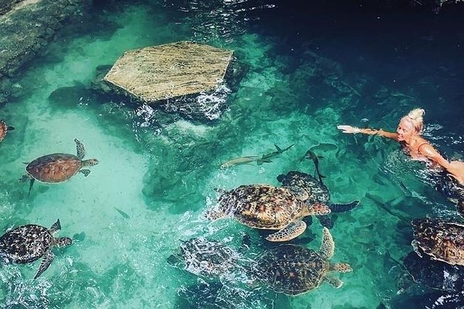 Zanzibar Adventures - Timing, weather, and cancellation rules